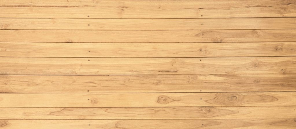 pine and fir texture